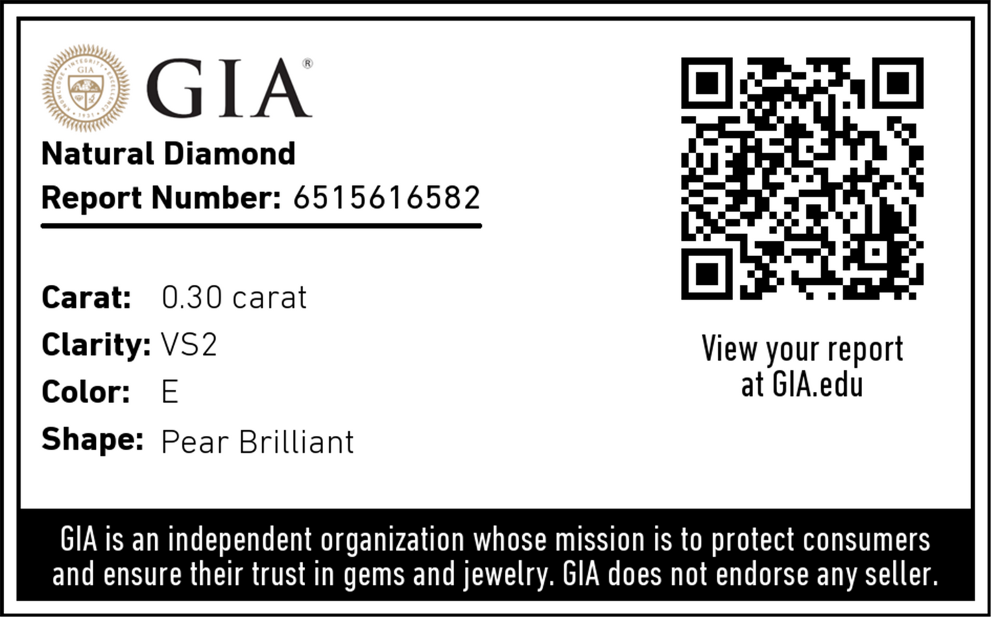 Colored Stone Earring