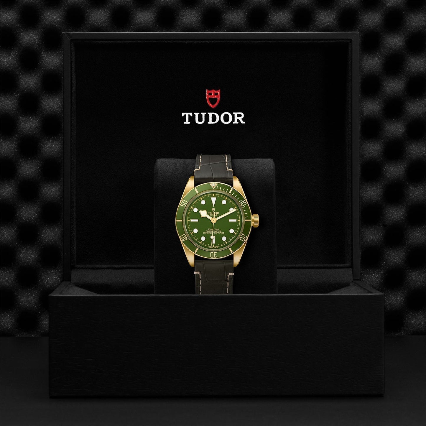 TUDOR Black Bay 58 18K