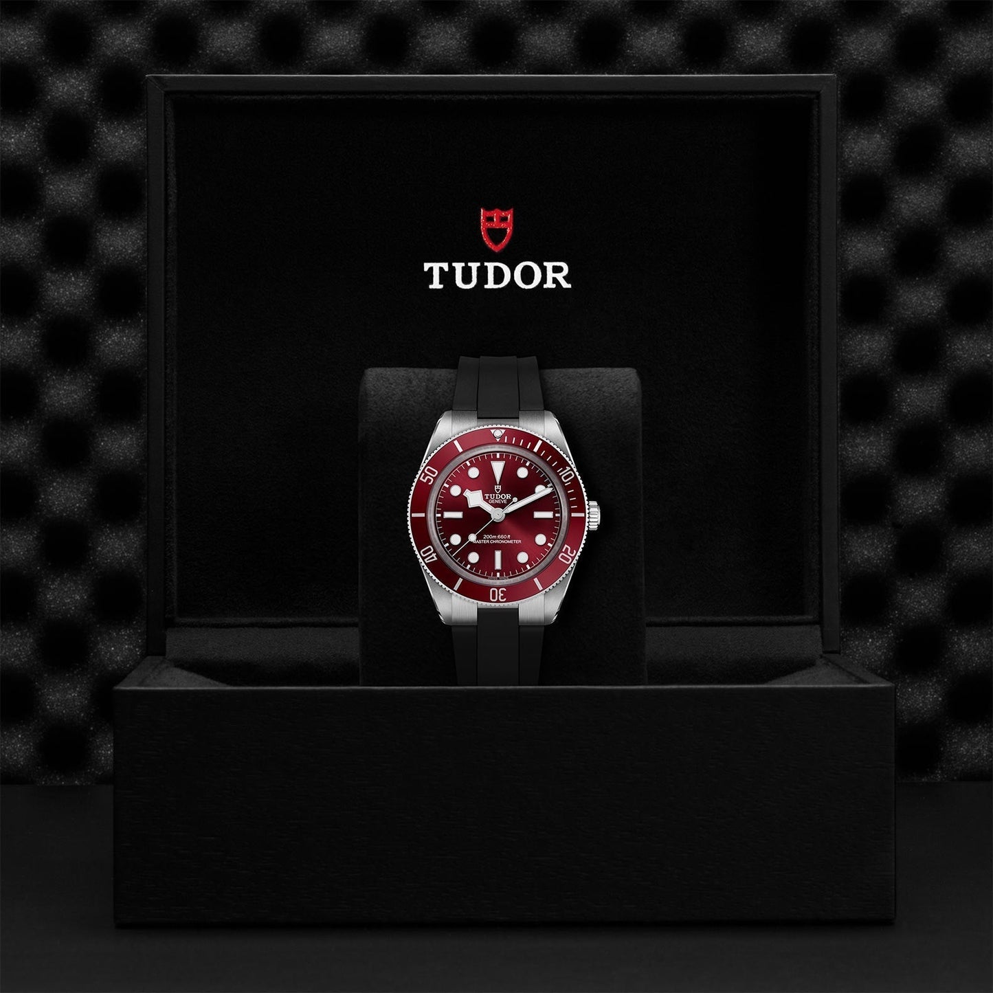 TUDOR Black Bay 58