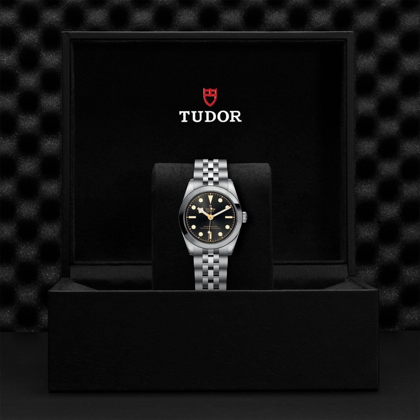 TUDOR Black Bay One 31