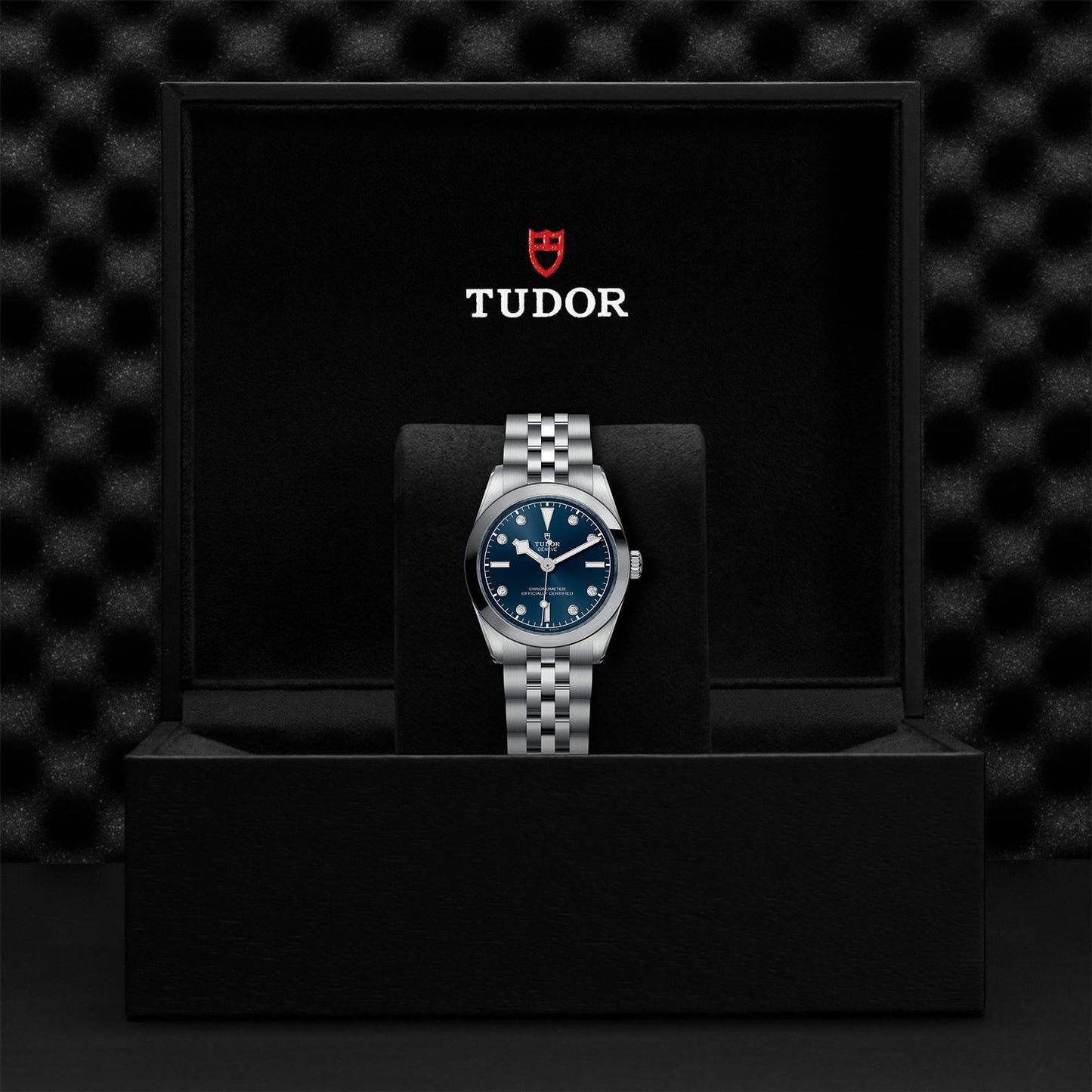 TUDOR Black Bay One 31