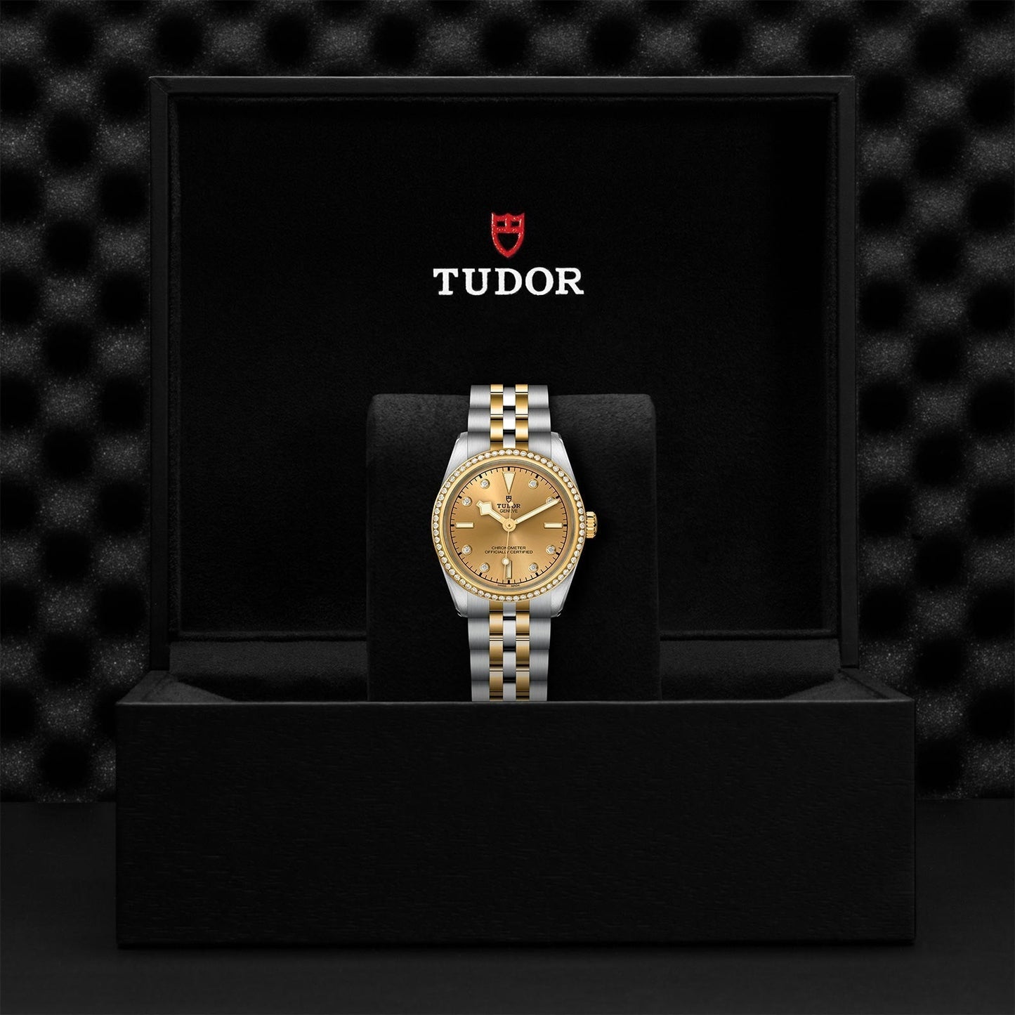TUDOR Black Bay One 31 S&G