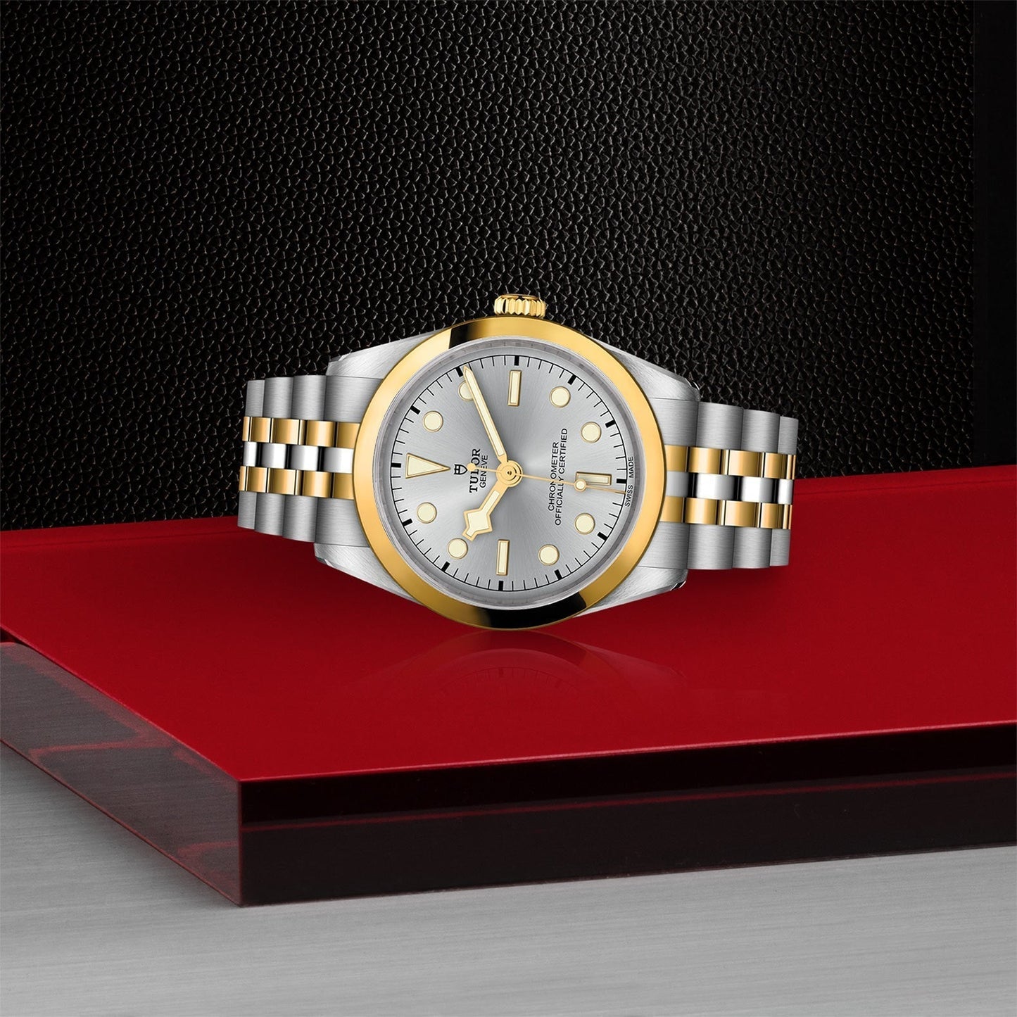 TUDOR Black Bay One 36 S&G