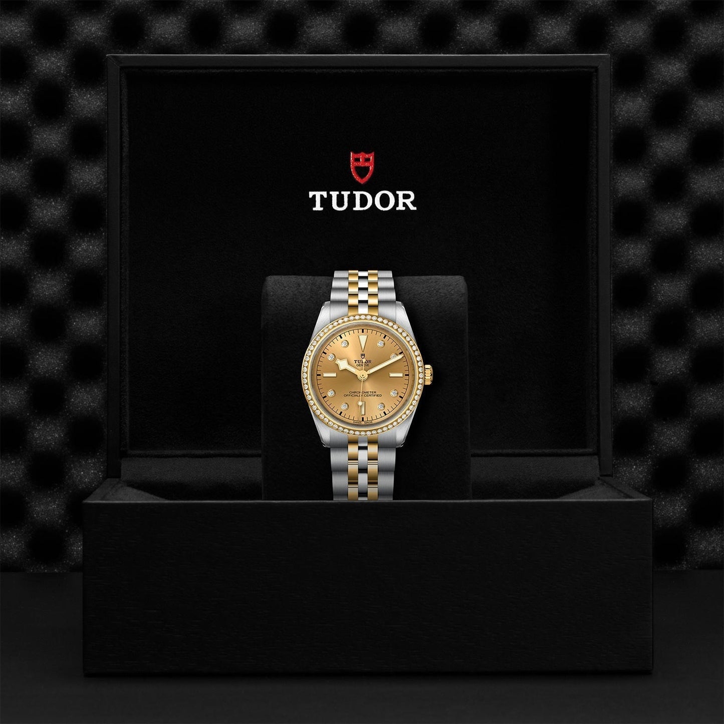 TUDOR Black Bay One 36 S&G