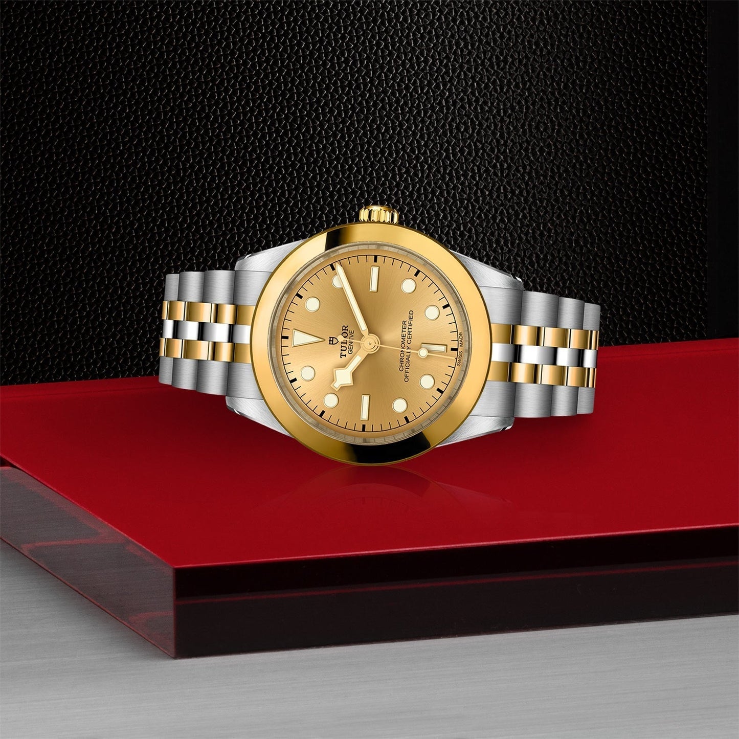 TUDOR Black Bay One 39 S&G