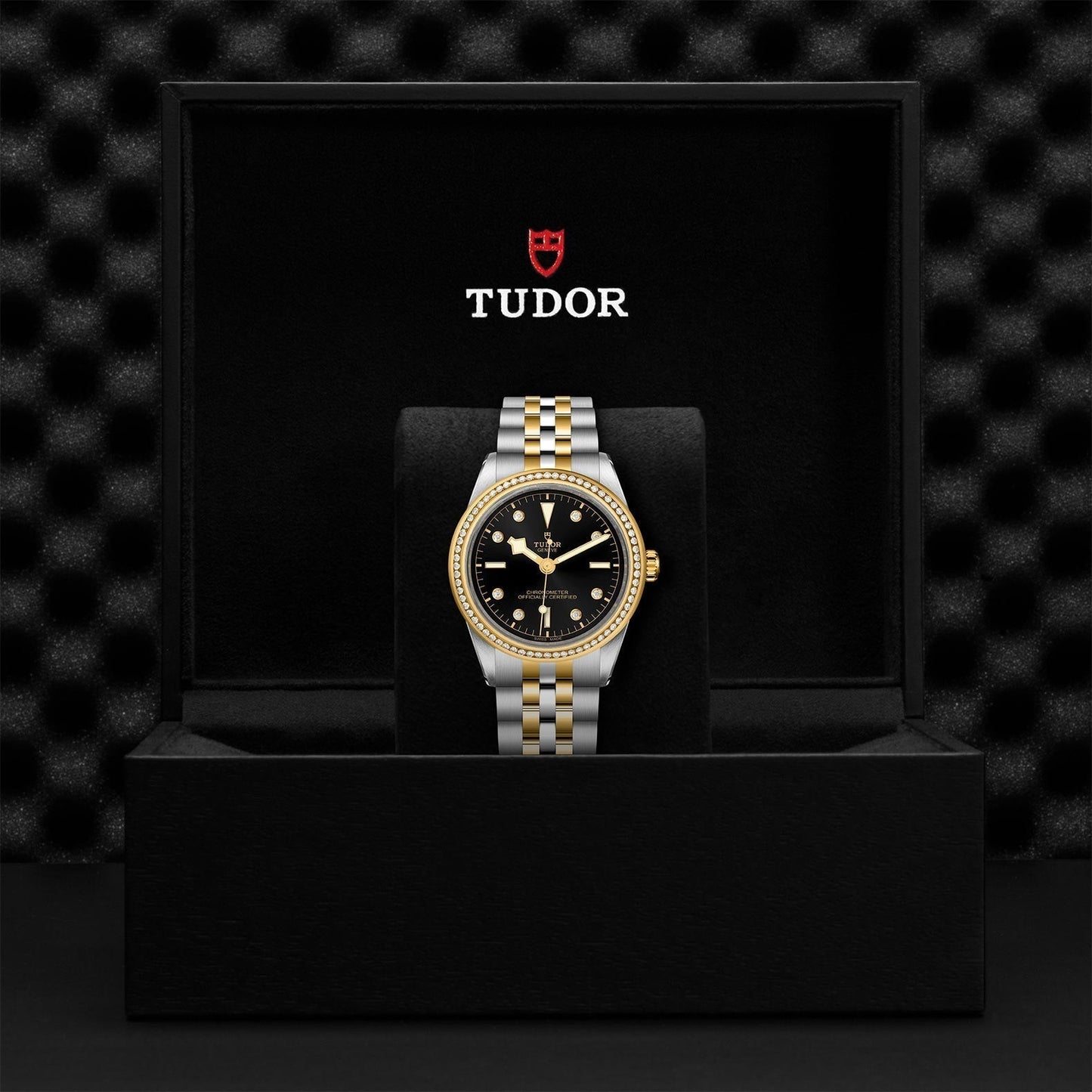 TUDOR Black Bay One 39 S&G