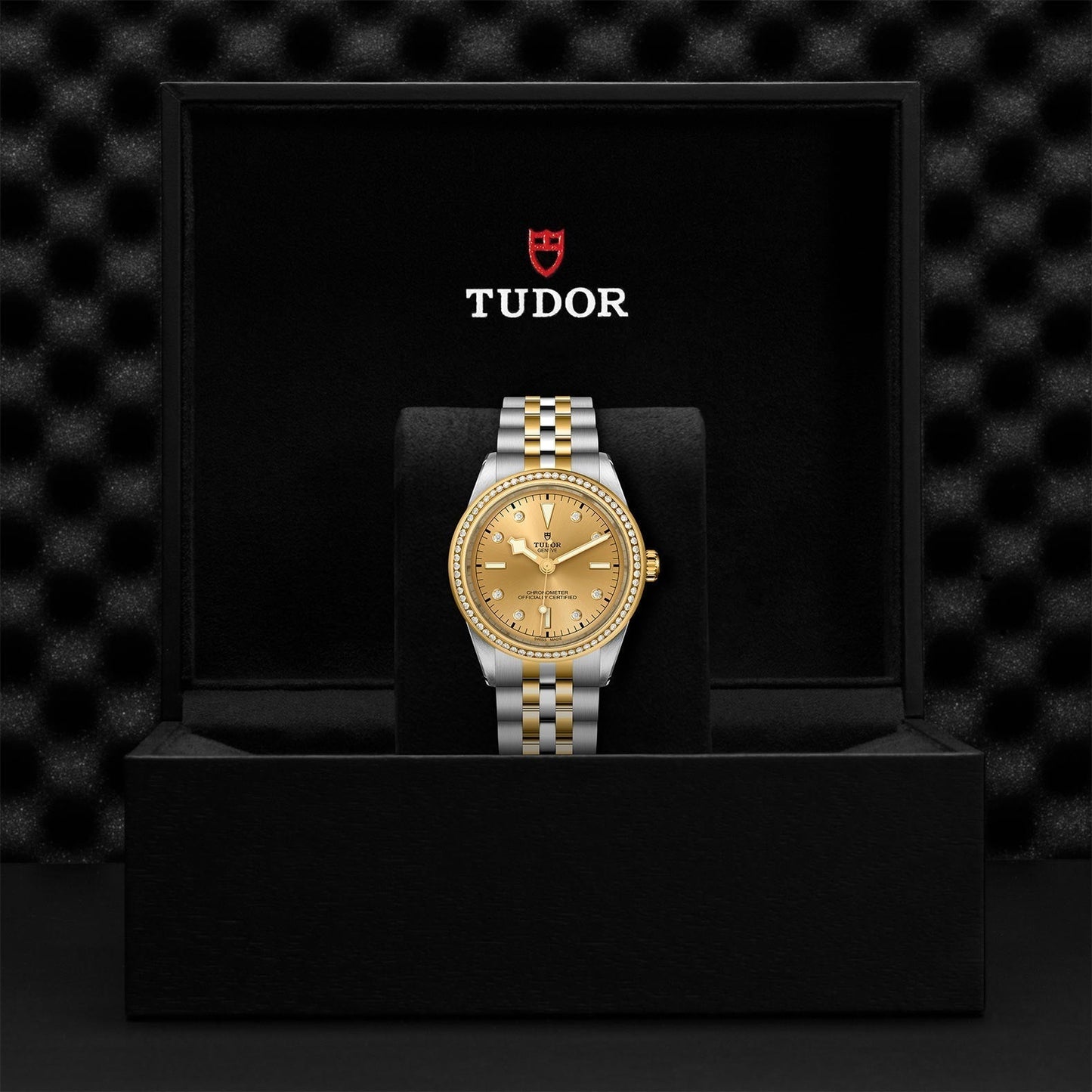 TUDOR Black Bay One 39 S&G