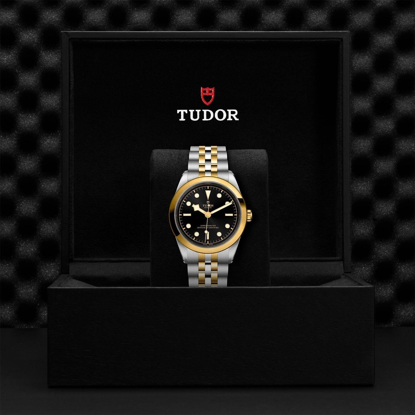 TUDOR Black Bay One 41 S&G