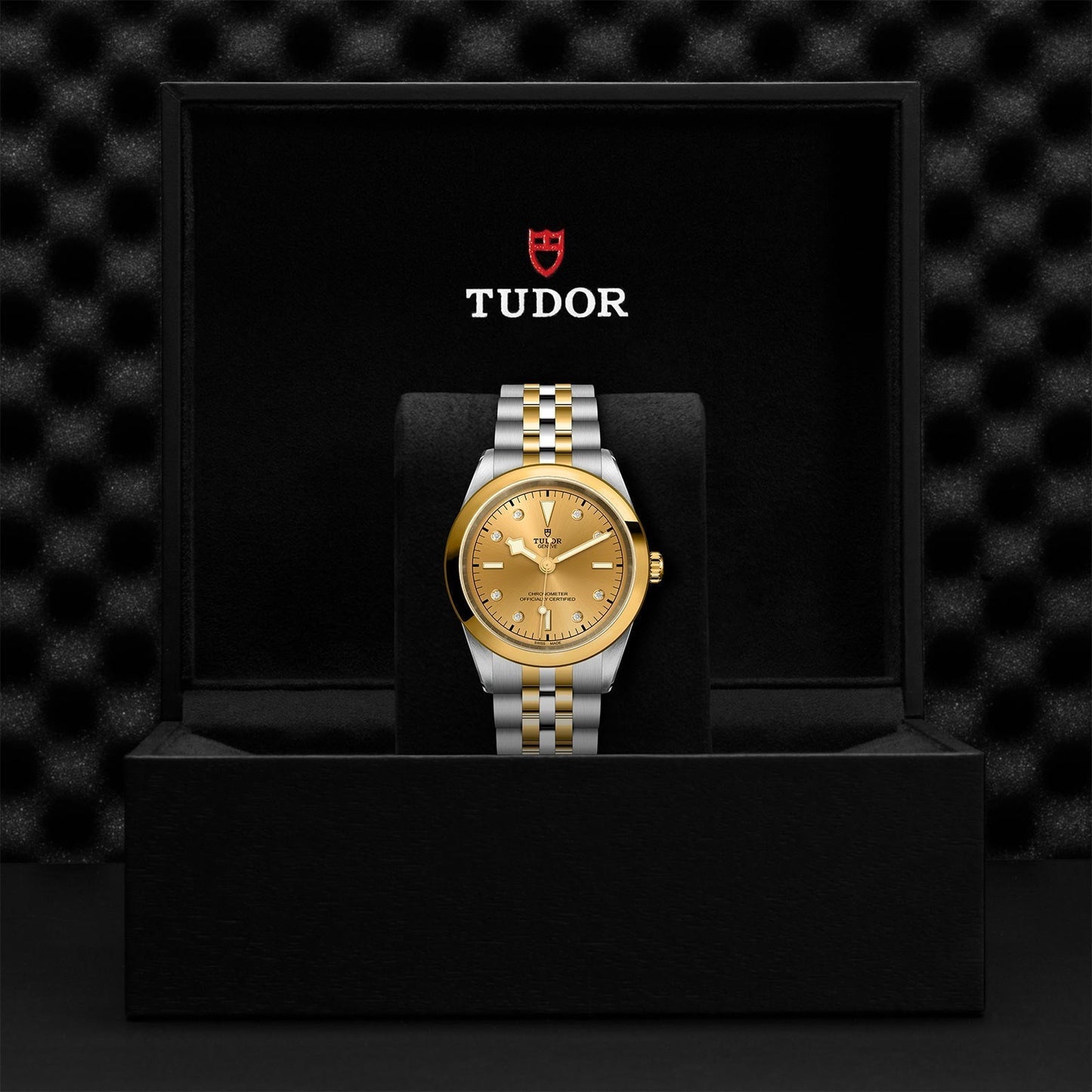 TUDOR Black Bay One 41 S&G