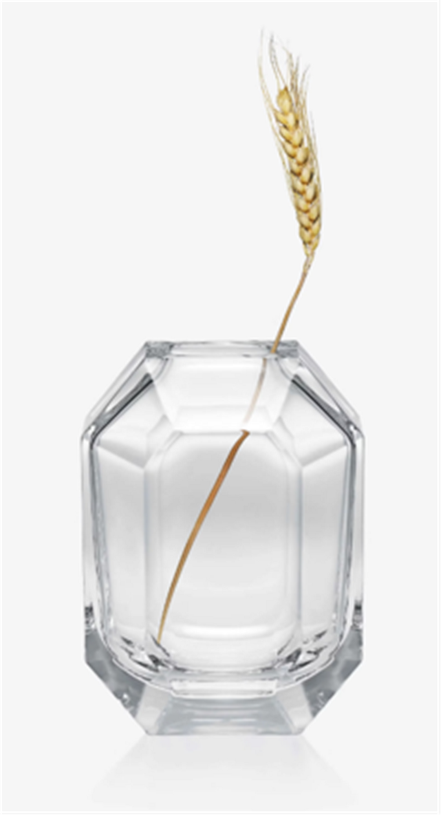Baccarat Octogone Bud Vase