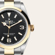 Explorer 36 - image 2 of 4