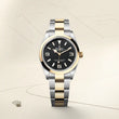 Explorer 36 - image 2 of 4