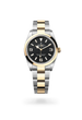 Explorer 36 - image 2 of 4