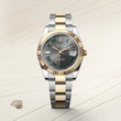 Datejust 41 - image 2 of 4