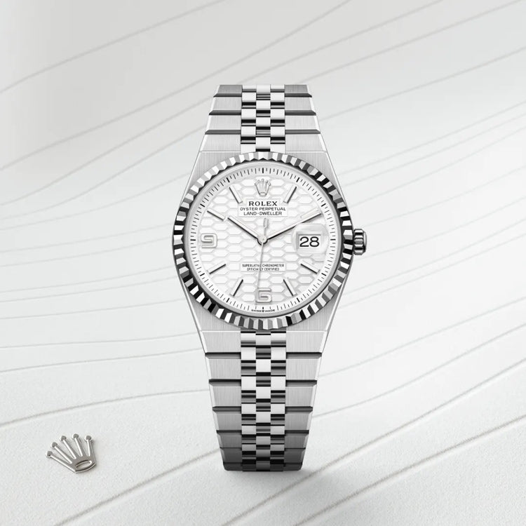 Rolex Land-Dweller 36