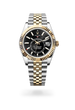 Sky-Dweller - image 2 of 4