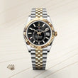 Sky-Dweller - image 2 of 4