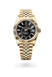Sky-Dweller - image 2 of 4