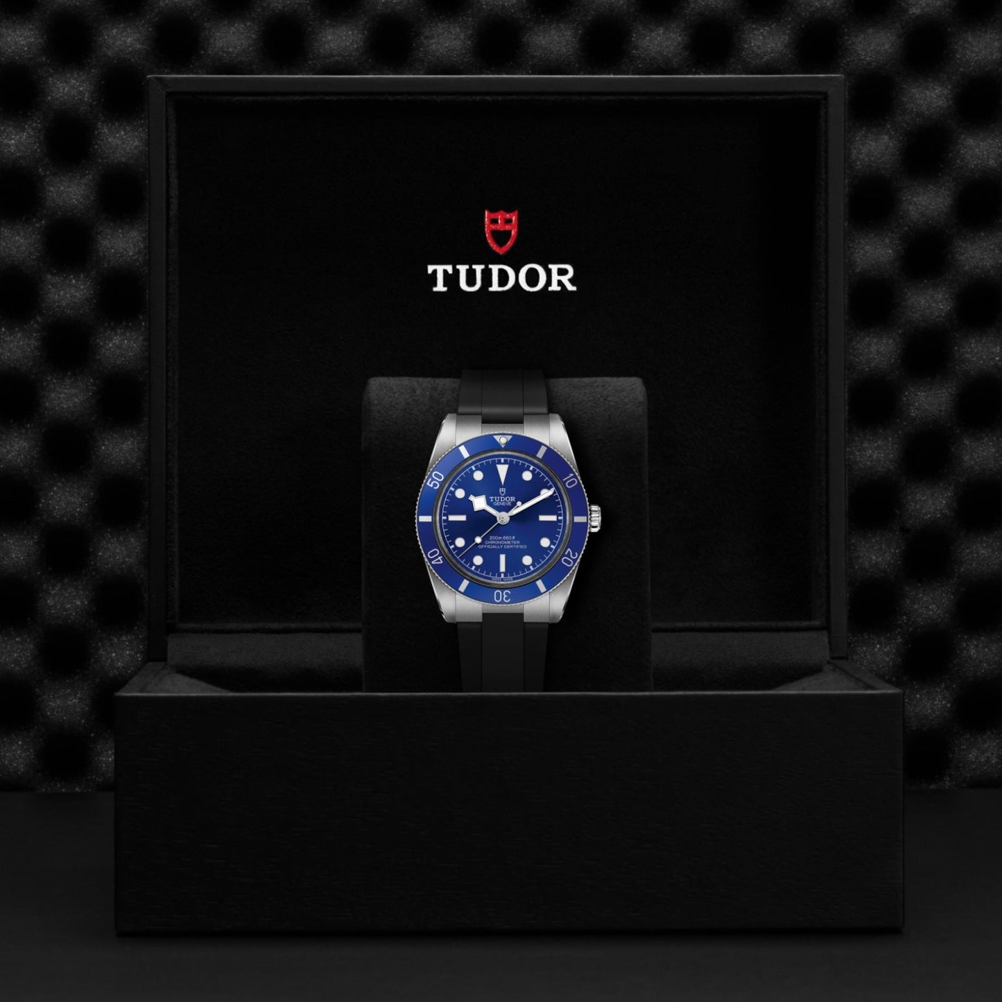 TUDOR Black Bay 54