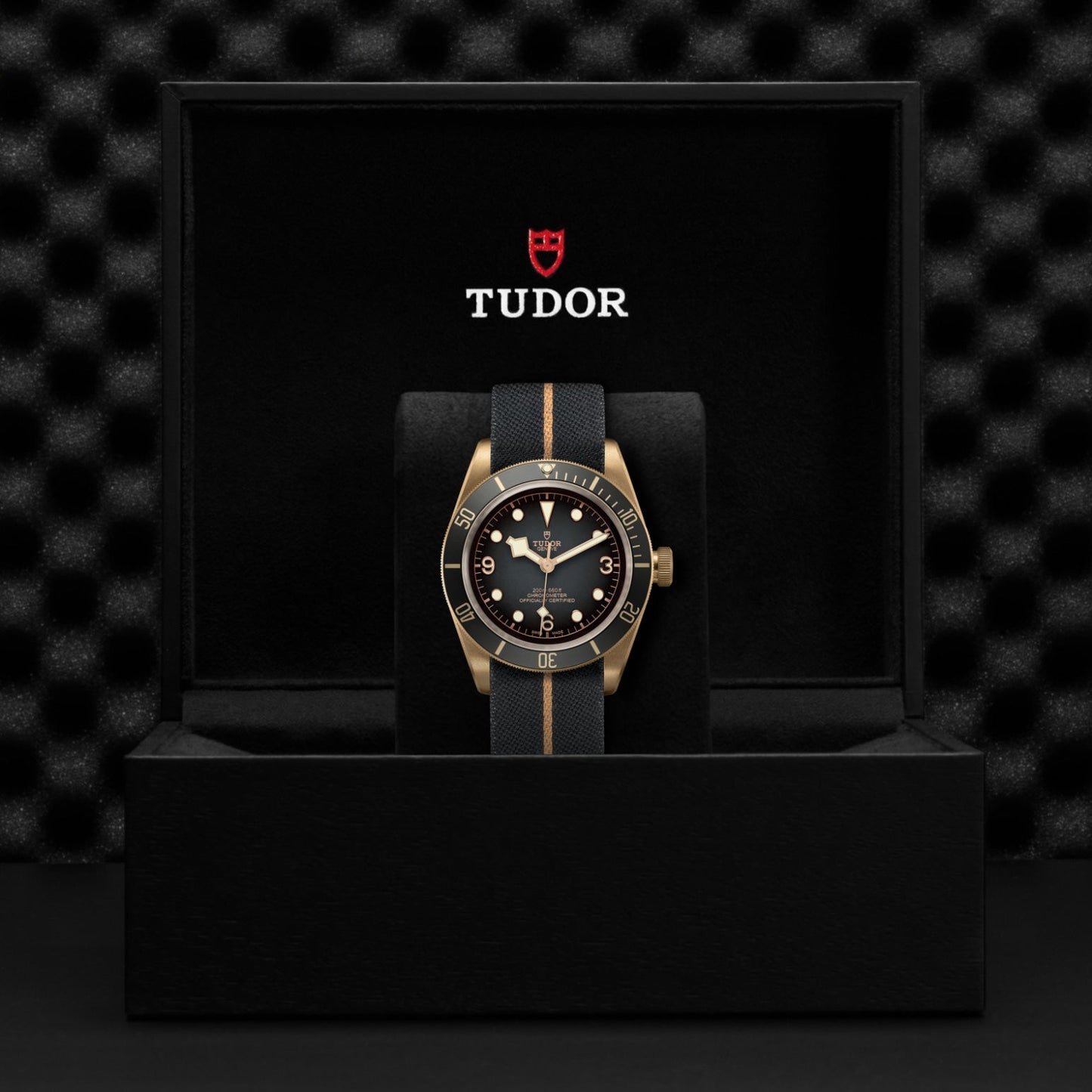 TUDOR Black Bay Bronze