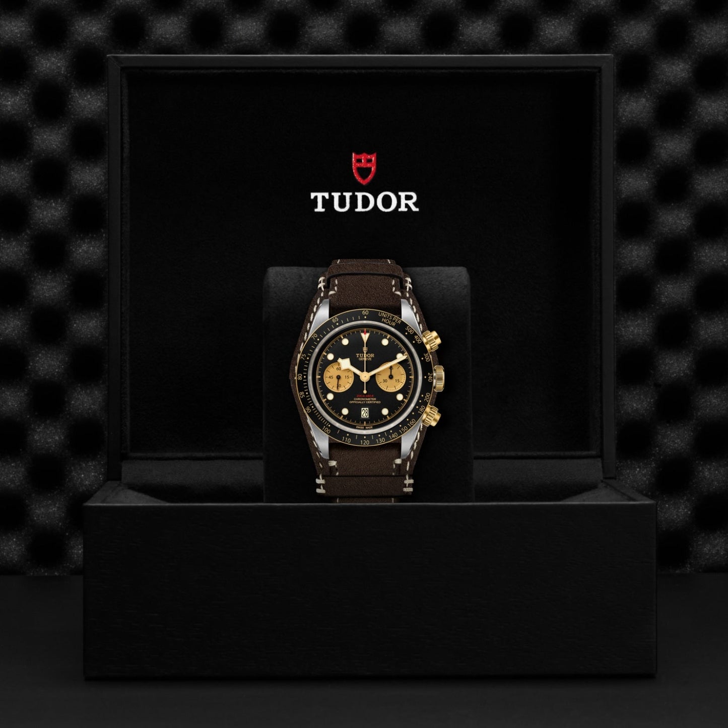 TUDOR Black Bay Chrono S&G