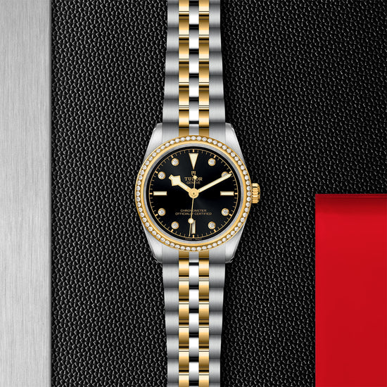 Load image into Gallery viewer, TUDOR Black Bay 31 S&amp;amp;G
