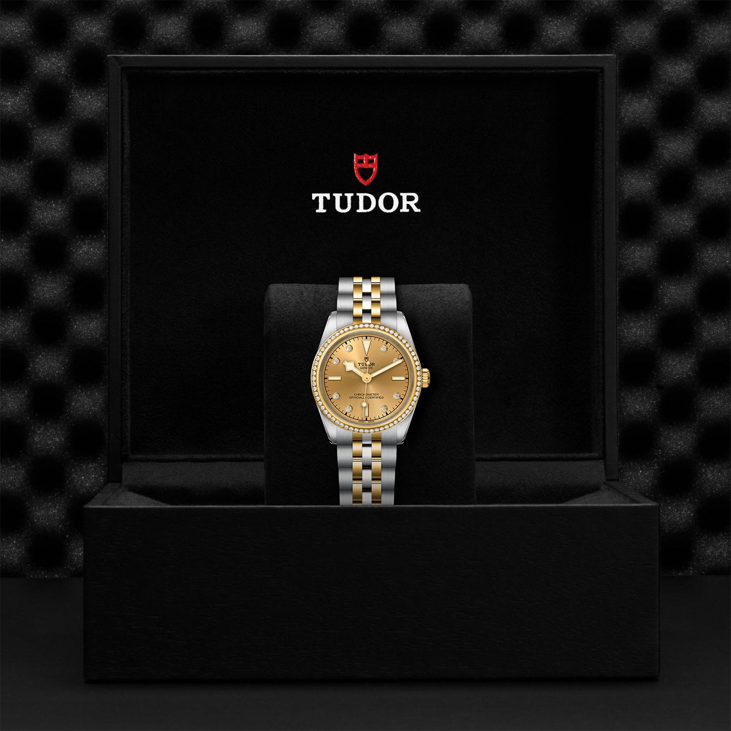 Load image into Gallery viewer, TUDOR Black Bay 31 S&amp;amp;G
