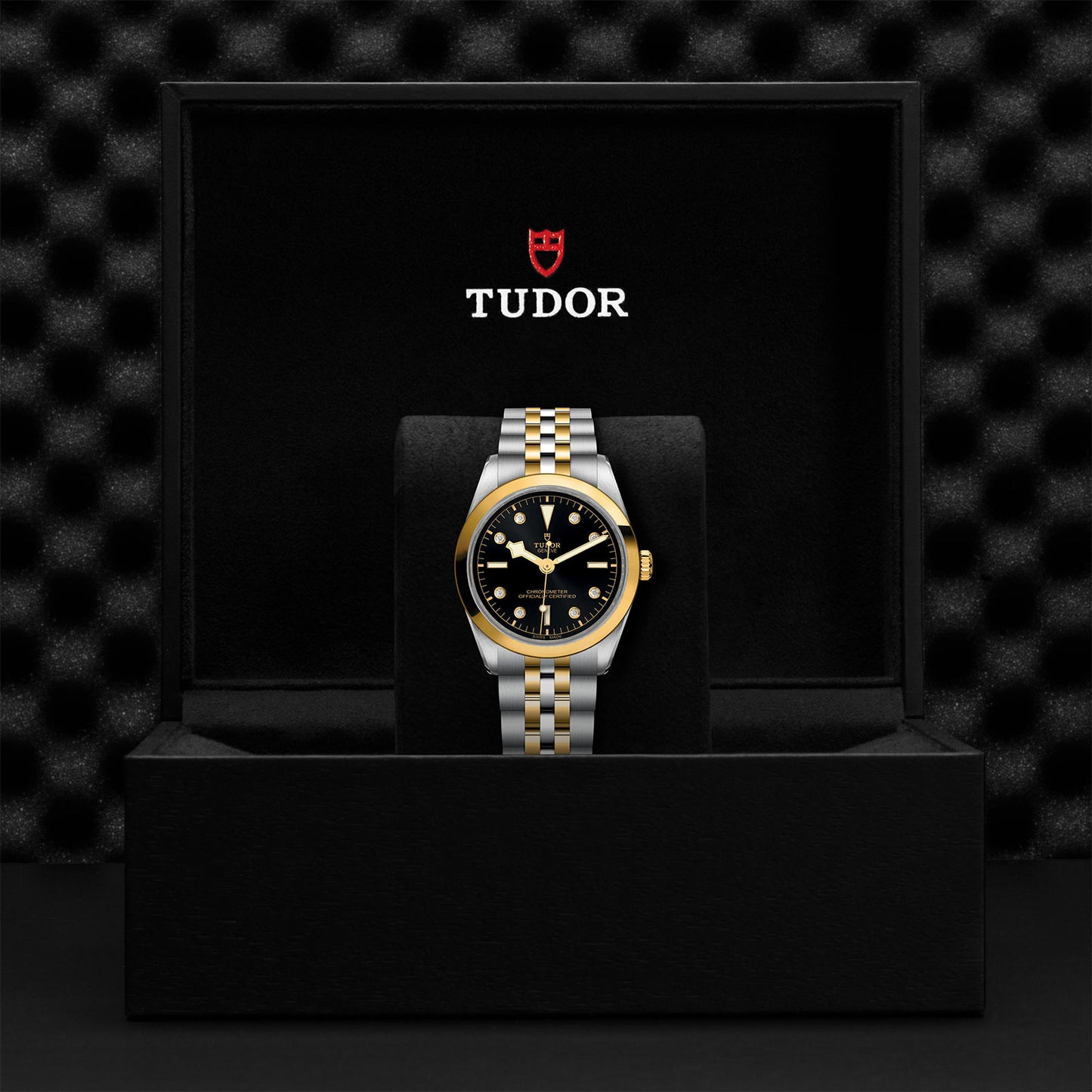 Load image into Gallery viewer, TUDOR Black Bay 36 S&amp;amp;G
